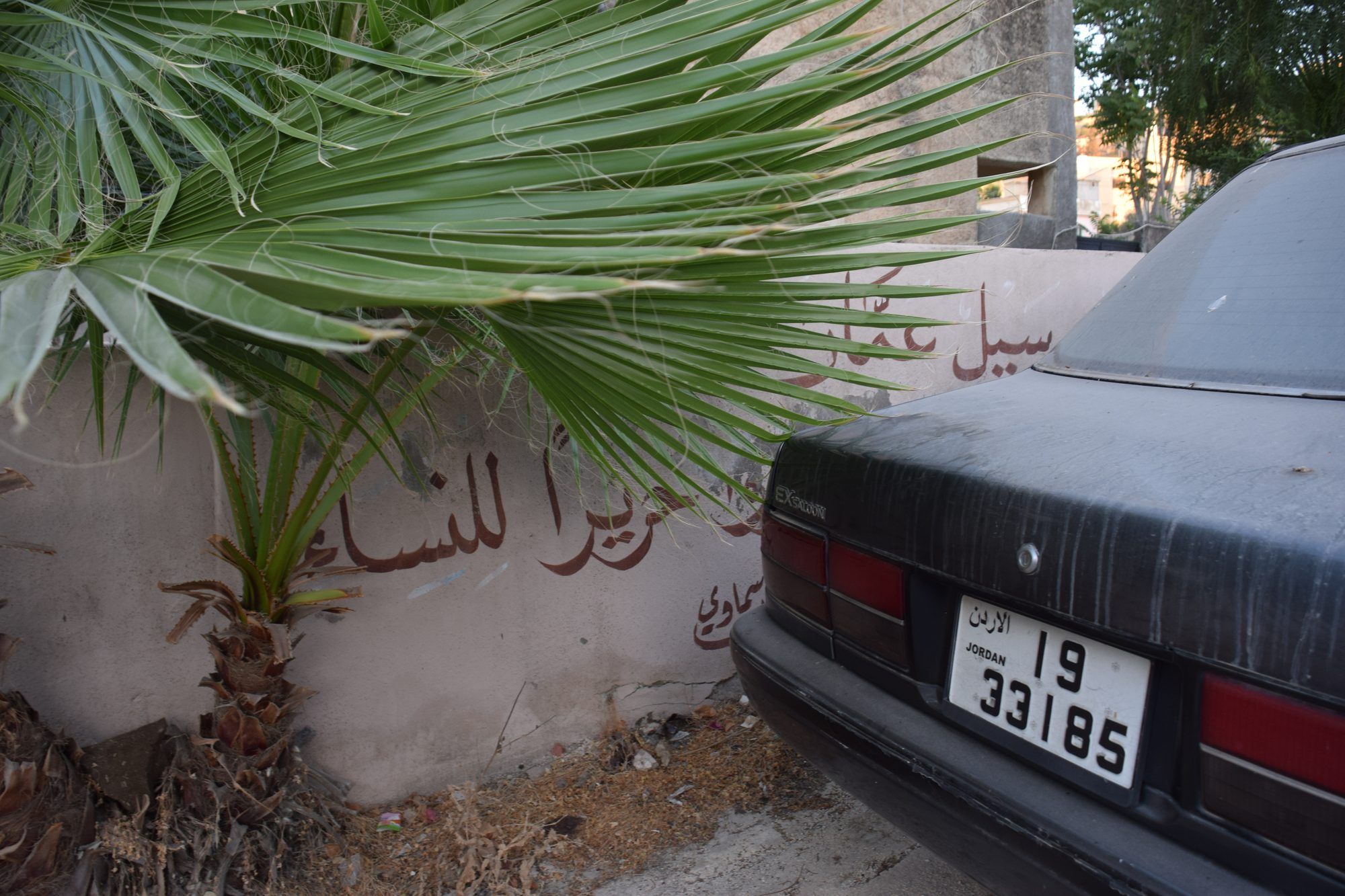 شعر عربي مكتوب على جدار خلف نخلة وسيارة مركونة في الفحيص