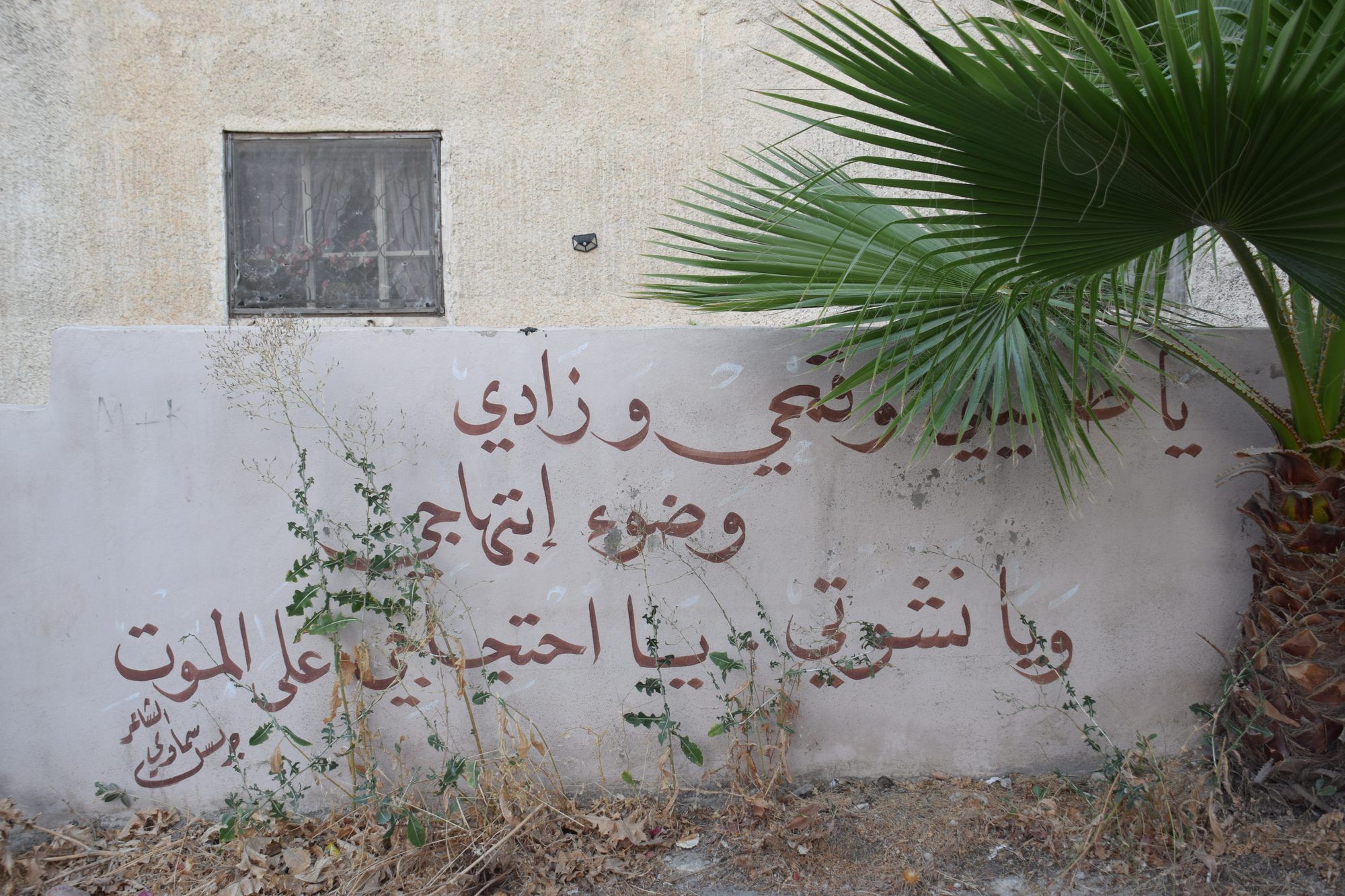 شعر عربي مكتوب على جدار بجانب نخلة