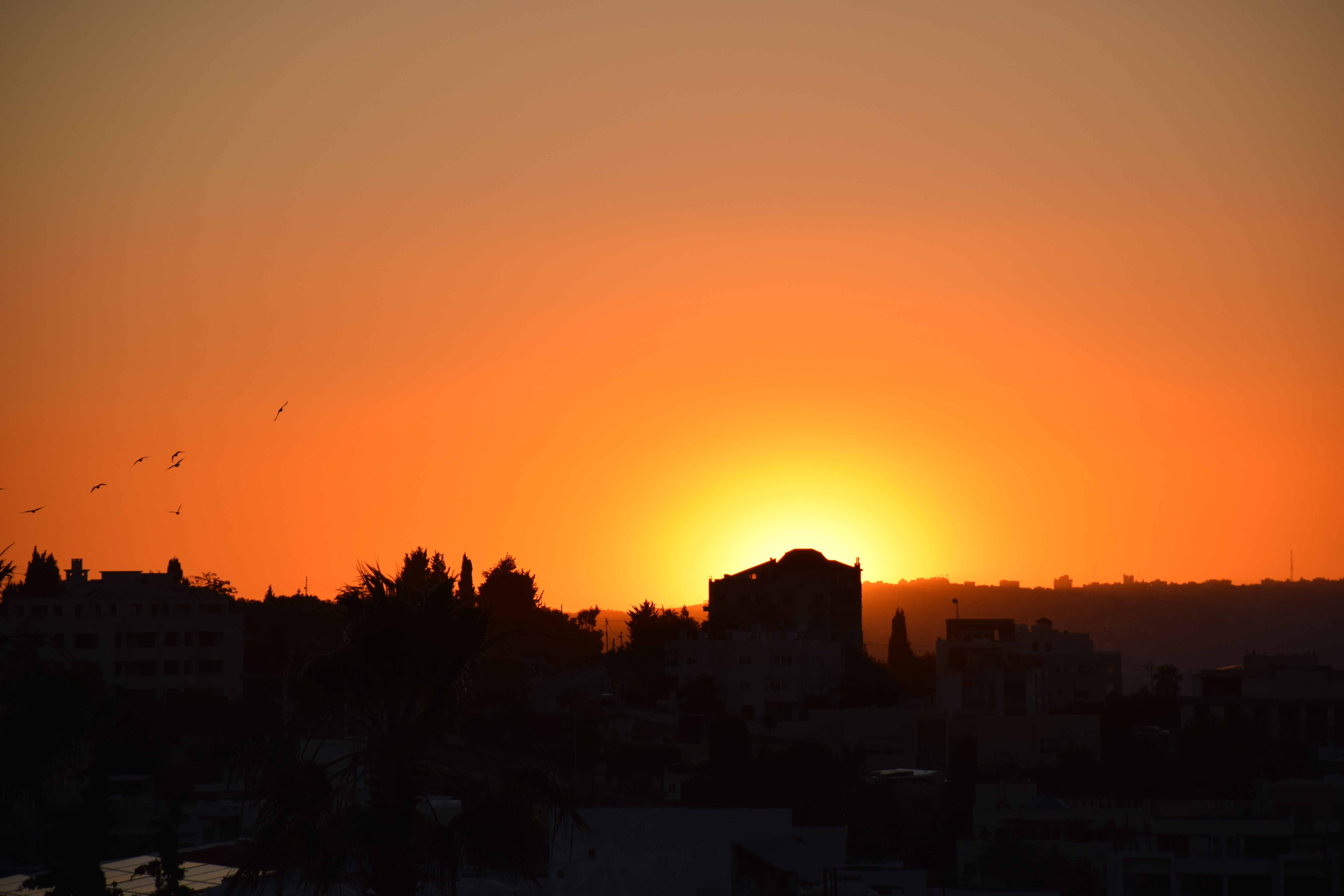 Sunset in Jordan
